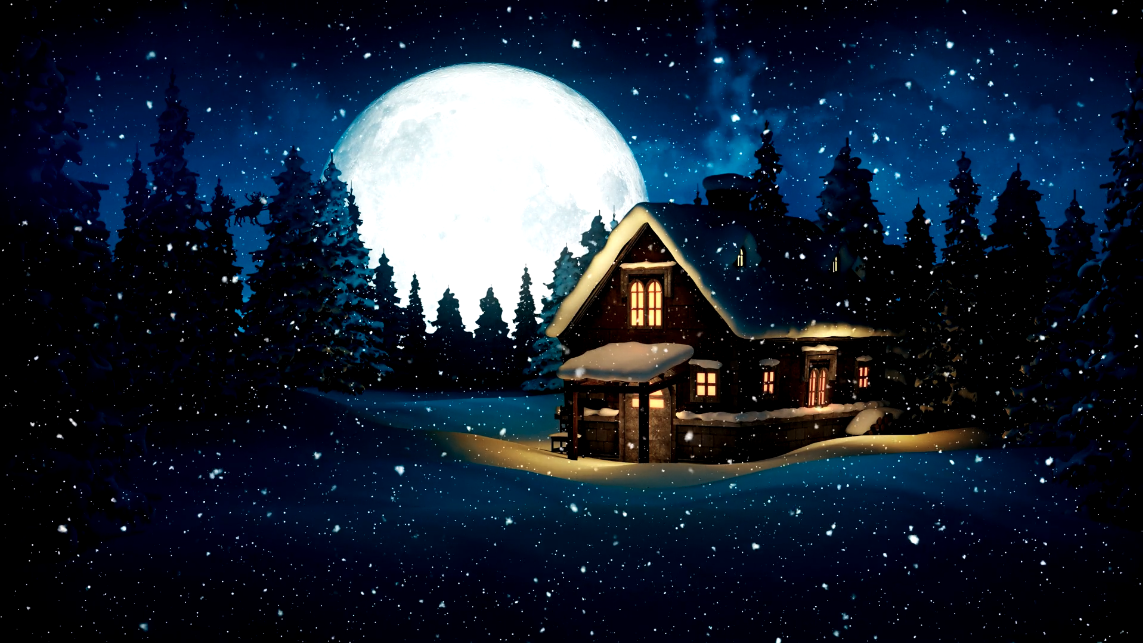 Christmas House Night